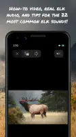 ElkNut screenshot