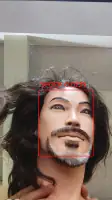 Face Recognition screenshot