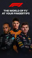 Formula 1® screenshot