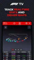 Formula 1® screenshot