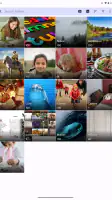 Fossify Gallery screenshot