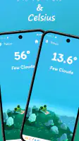 Froggy Weather screenshot