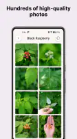 Gather: The Foraging App screenshot