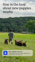 Good Dog: Find Your Puppy screenshot