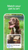Google Arts & Culture screenshot