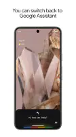 Google Assistant screenshot