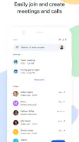 Google Meet screenshot