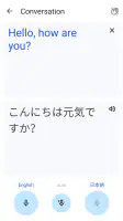 Google Translate screenshot