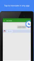 Google Translate screenshot