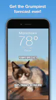 Grumpy Cat Weather screenshot