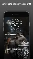 Grumpy Cat Weather screenshot