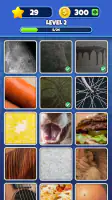 Guess it! Zoom Pic Trivia Game screenshot