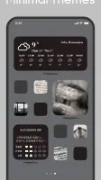 Icon changer & Widget Themes screenshot