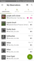 iNaturalist screenshot