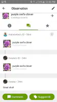iNaturalist screenshot