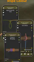 Knot IQ - The Bear Essentials screenshot