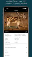 KrugerExplorer screenshot