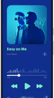 Lark Player:Music Player & MP3 screenshot