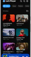 Lark Player:Music Player & MP3 screenshot