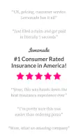 Lemonade Insurance screenshot