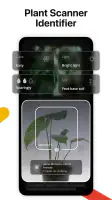 Lens AI: Identify Anything screenshot
