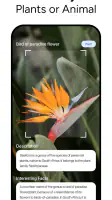 Lens AI & Reverse Image Search screenshot