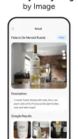 Lens AI & Reverse Image Search screenshot