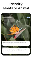Lens AI & Reverse Image Search screenshot