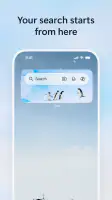 Microsoft Bing Search screenshot