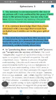 Mirror Study Bible screenshot