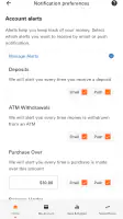 Money Network® Mobile App screenshot