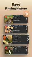 Mushroom Identification screenshot