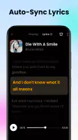 Offline Music Player: Play MP3 screenshot