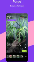 Palmstreet - Live shopping screenshot