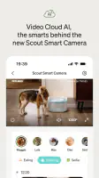 Petlibro screenshot