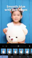 Photo Blur & Mosaic Effects screenshot