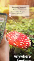 Picture Mushroom - Mushroom ID screenshot