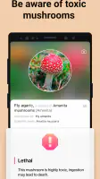 Picture Mushroom - Mushroom ID screenshot