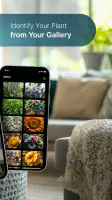 Plant Care - AI Identifier screenshot