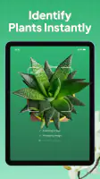 Plant Identifier: LeafSnap screenshot