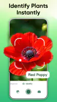 Plant Identifier - Scan & Care screenshot