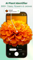 Plant Identifier: Tips & Care screenshot