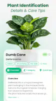 Plant Identifier: Tips & Care screenshot