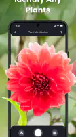 PlantIn Plant Identifier, Care screenshot