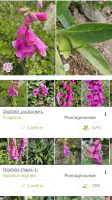 PlantNet Plant Identification screenshot