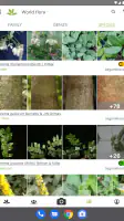 PlantNet Plant Identification screenshot