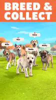 Pocket Paws: My lovely dogs screenshot