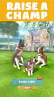 Pocket Paws: My lovely dogs screenshot