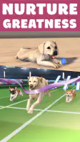 Pocket Paws: My lovely dogs screenshot