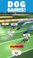 Pocket Paws: My lovely dogs screenshot